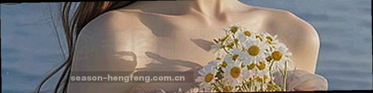 斜线网格与图章纹理，构成使用条款索引页的背景视觉